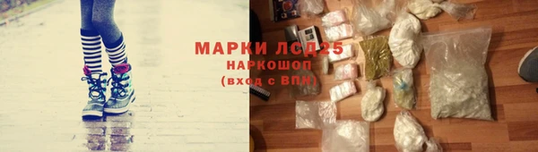 spice Липки
