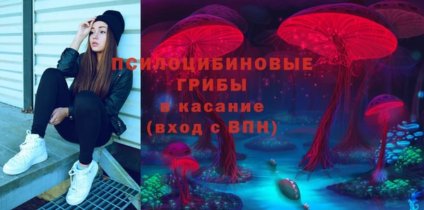 индика Великий Новгород