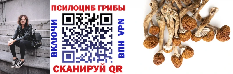 блэк спрут ТОР  Чаплыгин  Псилоцибиновые грибы мухоморы  где продают  